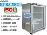 [瑞興]76L桌上型玻璃冷凍櫃冰箱/不鏽鋼冰箱/冷凍櫃RS-5075G